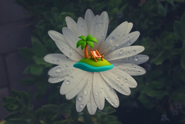 Water droplets on white-petaled flower, TanStack router logo in the middle Water droplets on white-petaled flower, TanStack router logo in the middle